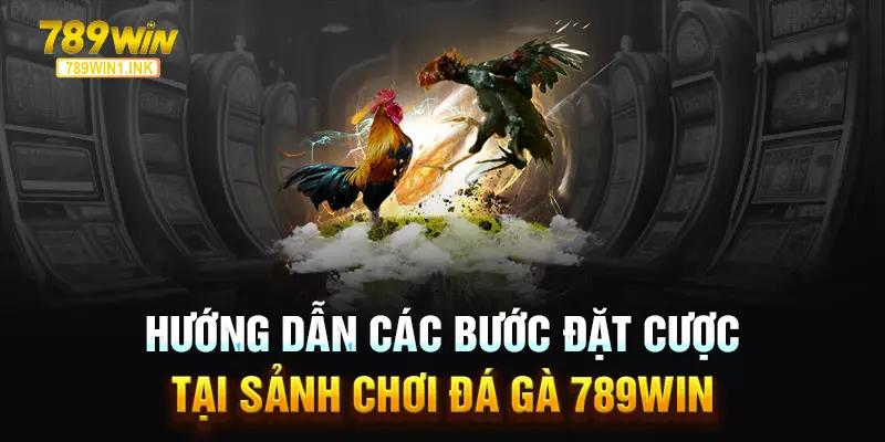 Hướng dẫn các bước đặt cược tại sảnh chơi Đá gà 789WIN