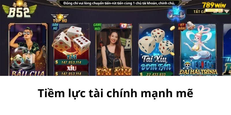 Tiềm lực tài chính mạnh mẽ