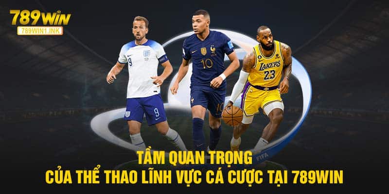 Tầm quan trọng của lĩnh vực cá cược thể thao tại 789Win