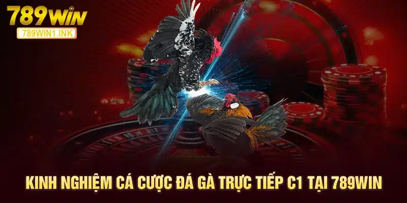 Kinh nghiệm cá cược đá gà trực tiếp C1 tại 789WIN