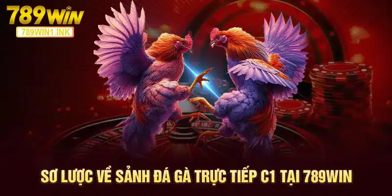 Sơ lược về sảnh đá gà trực tiếp C1 tại 789WIN