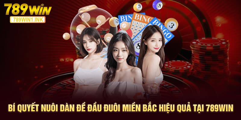 Bí Quyết Nuôi Dàn Đề Đầu Đuôi Miền Bắc Hiệu Quả Tại 789WIN