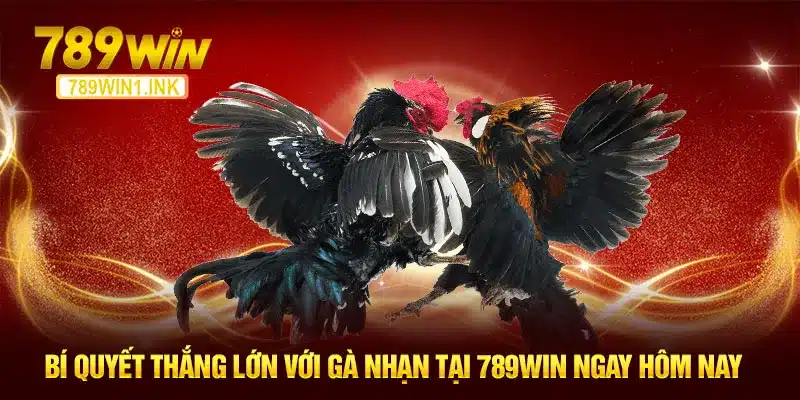 Bí Quyết Thắng Lớn Với Gà Nhạn Tại 789WIN Ngay Hôm Nay