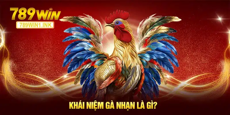 Khái niệm gà nhạn là gì?